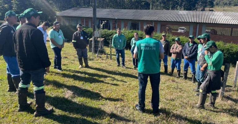 Imagem destaque da publicação na categoria Mídia em Destaque. Nome da publicação: Programa de Treinamentos